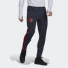 ADIDAS FC Bayern München Condivo 22 Training Broek
