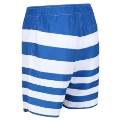 Regatta Heren Hamza Gestreepte Zwemshorts (Lapis Blauw) -Regatta Verkoop heren hamza gestreepte zwemshorts lapis blauw 2