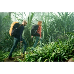 Muggenwerende Herenbroek Tropic 900 Groen 26 Muggenwerende Herenbroek Tropic 900 Groen -Regatta Verkoop muggenwerende herenbroek tropic 900 groen 11